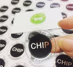 đặt in sticker